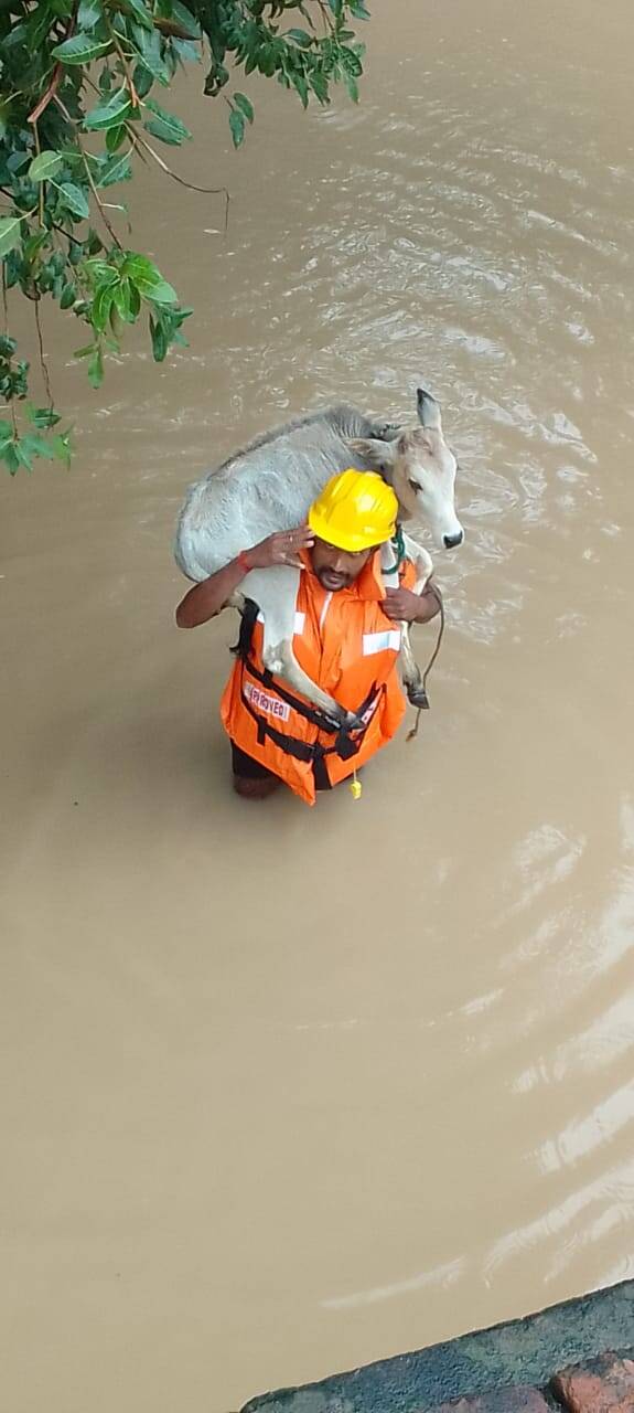 आपदा मित्र प्रशिक्षण कार्यक्रम