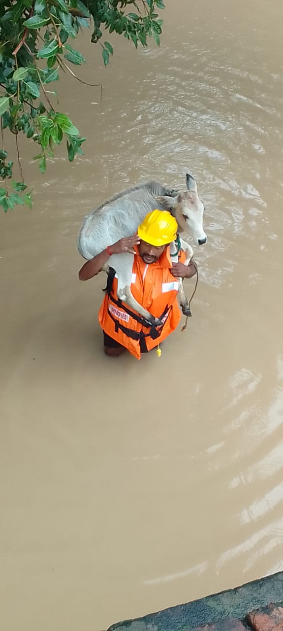 आपदा मित्र प्रशिक्षण कार्यक्रम